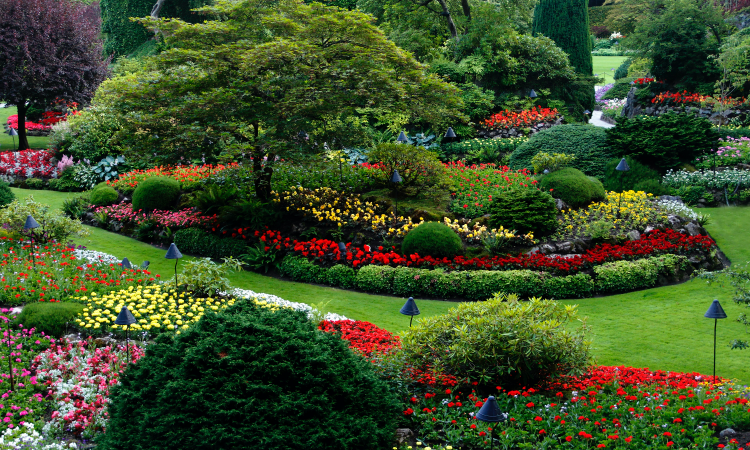 Transforming Small Outdoor Spaces in Orlando: Landscaping Ideas for Limited Areas